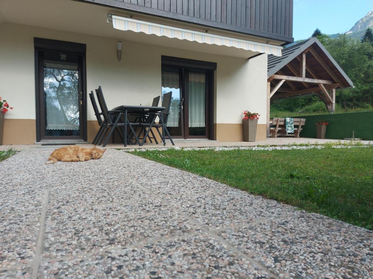 Apartmaji Katrc โซชา ภายนอก รูปภาพ